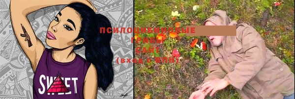 ПСИЛОЦИБИНОВЫЕ ГРИБЫ Россошь