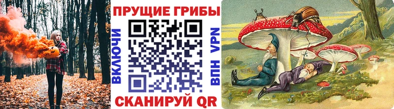 Галлюциногенные грибы Cubensis  Шали 